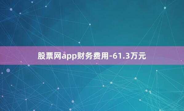 股票网app财务费用-61.3万元